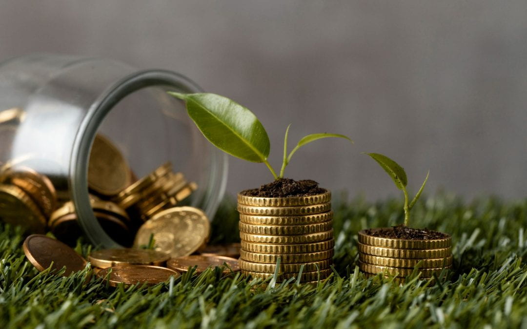 Green Economy Transition in Kenya and in Africa