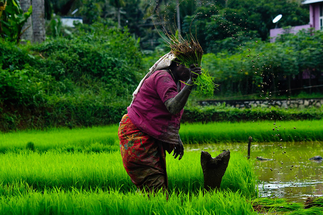 Women and Green Economy